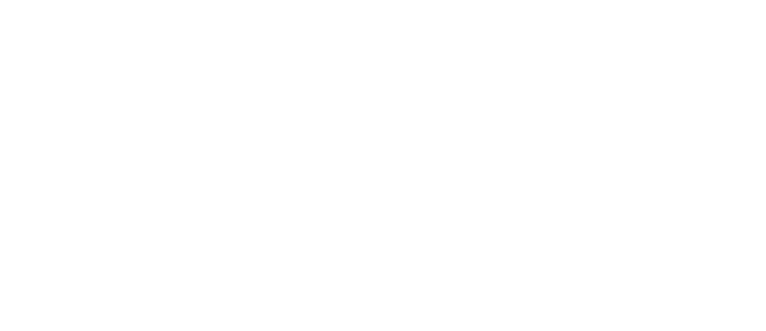 The VIP Team — CENTURY 21 Elevated Real Estate