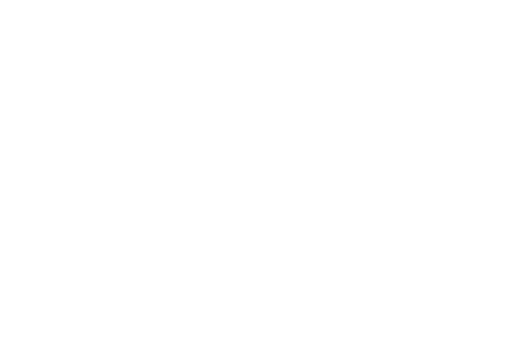 VIP Real Estate
