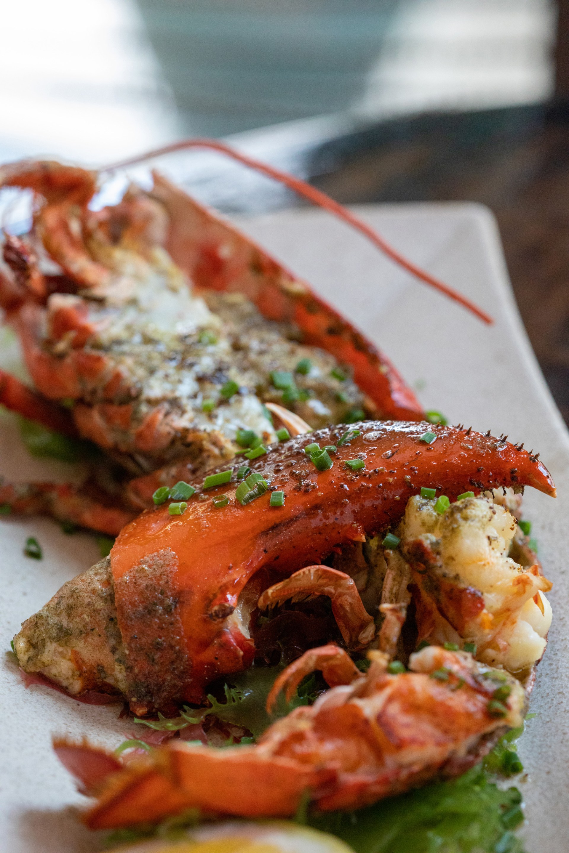 High-end lobster dish garnished with chopped green onions