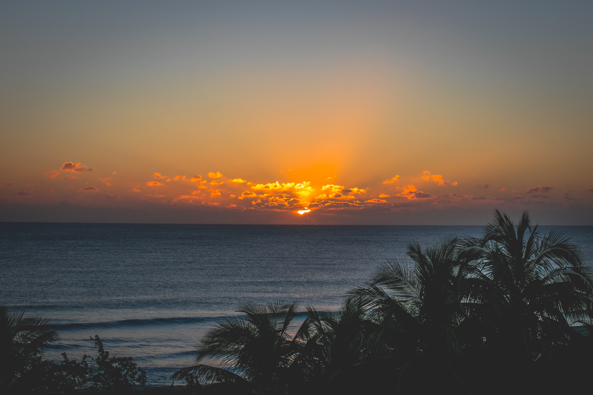 Sunset over the Atlantic ocean and tropical Miami trees