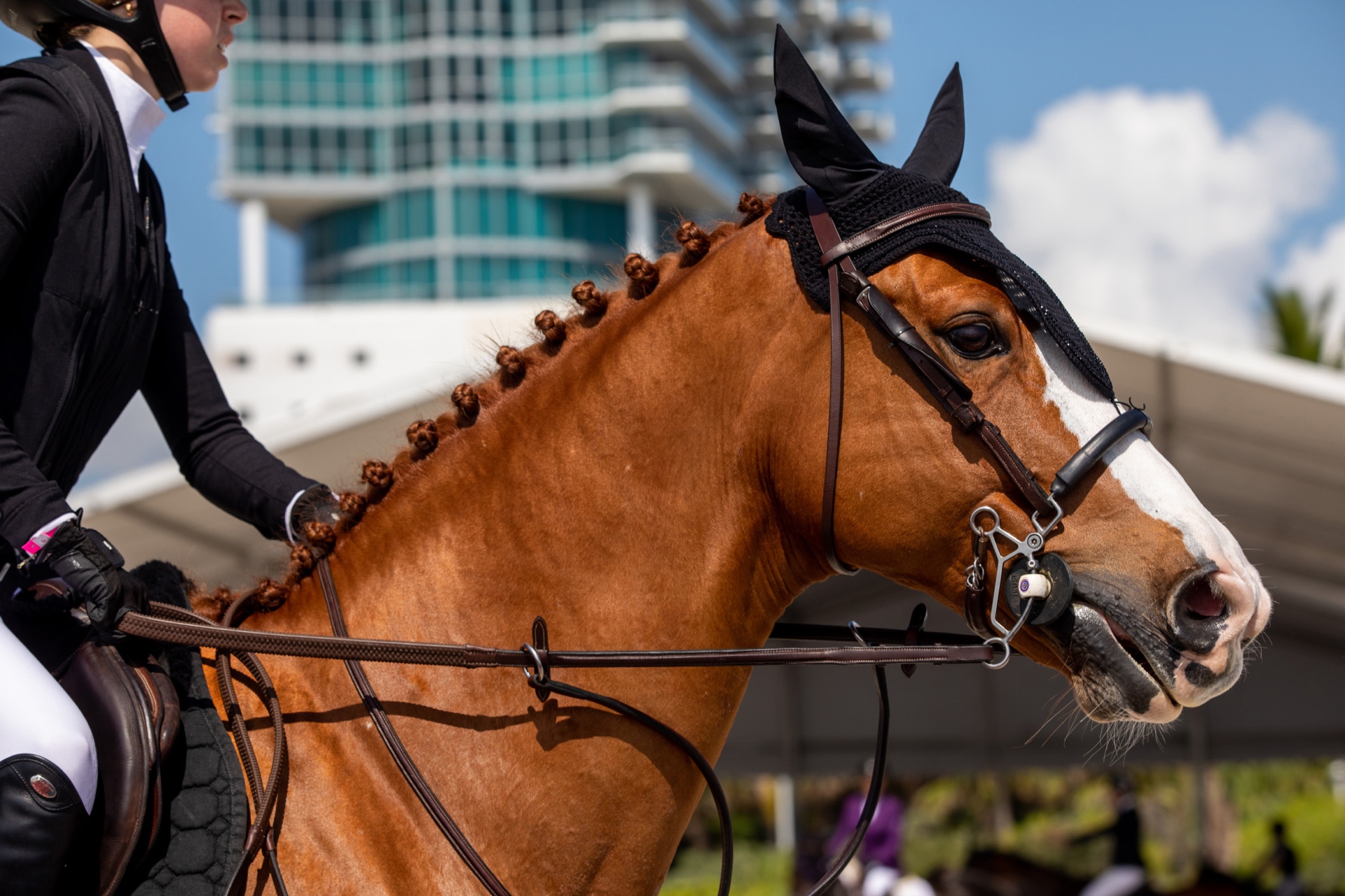 Pageant horse riding outside of the JEM hotel