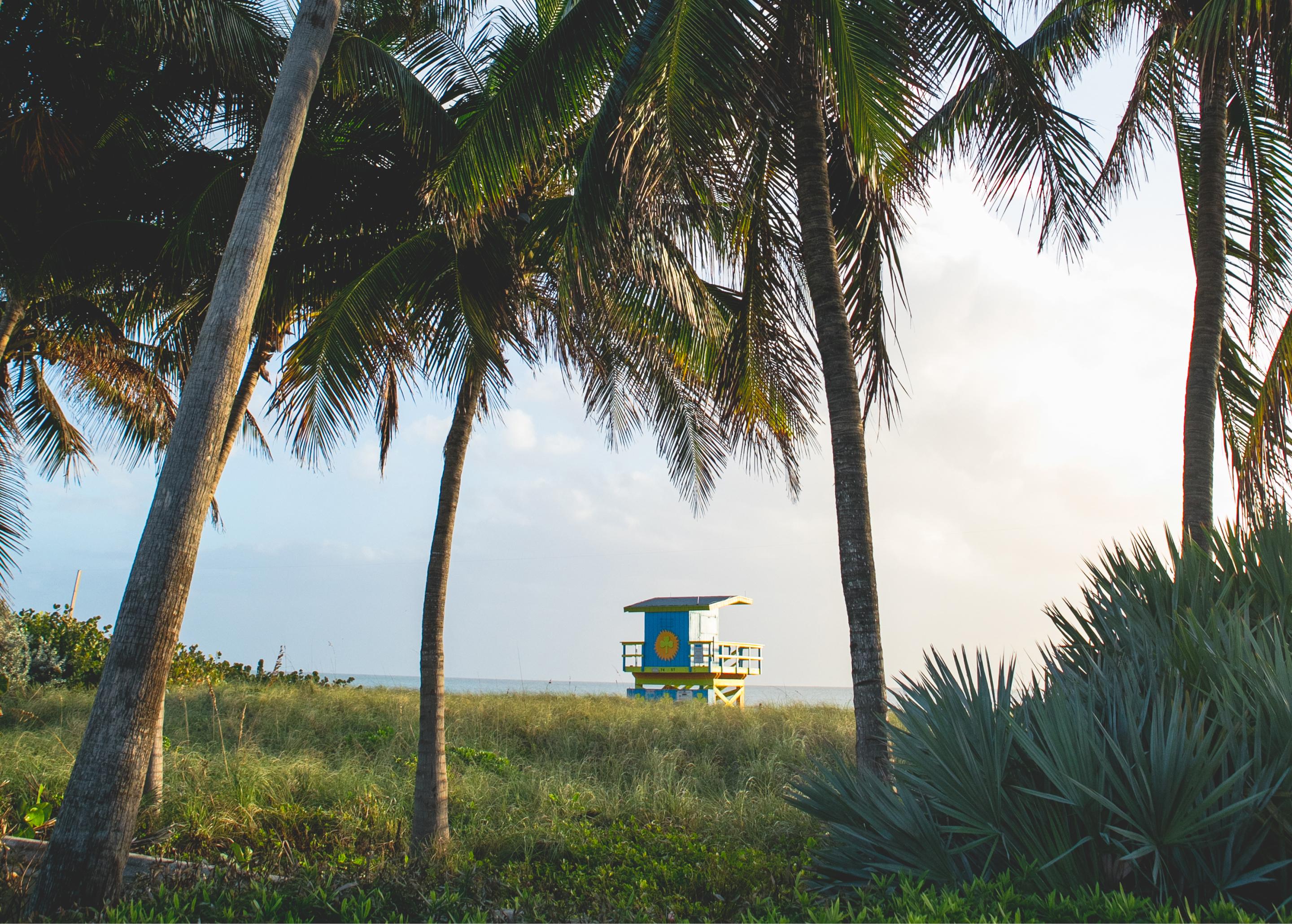 Lifeguard stand on a Miami beach overlooking the Atlantic ocean