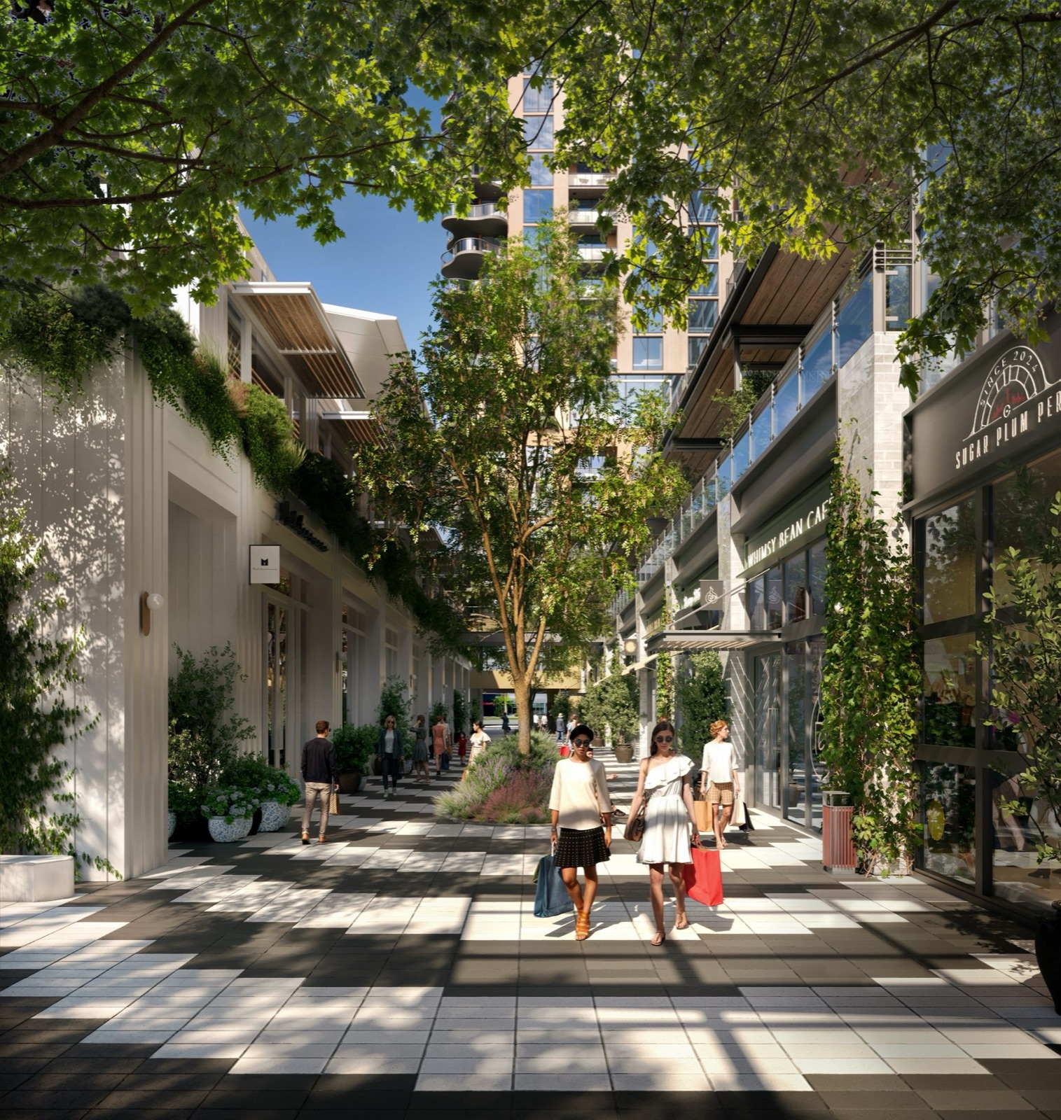 Tree-canopy paseo